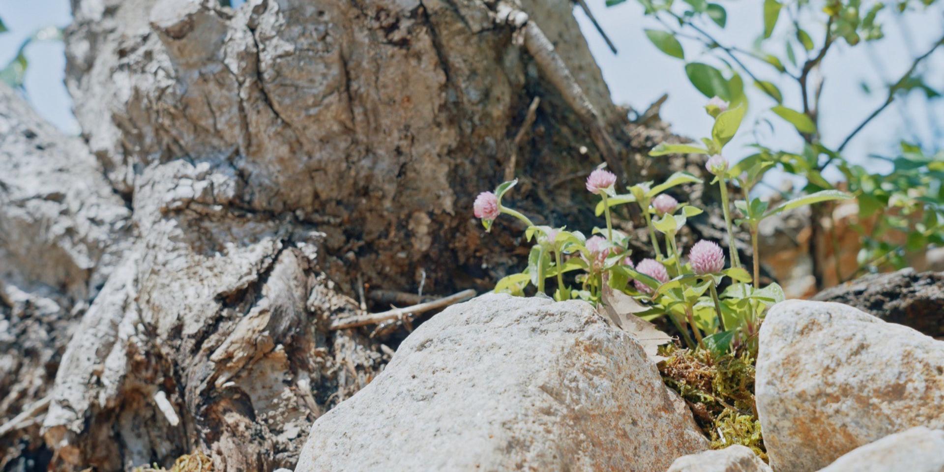 TOPスライド画像