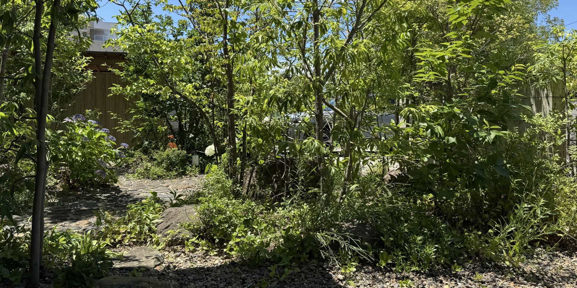 TOPスライド画像